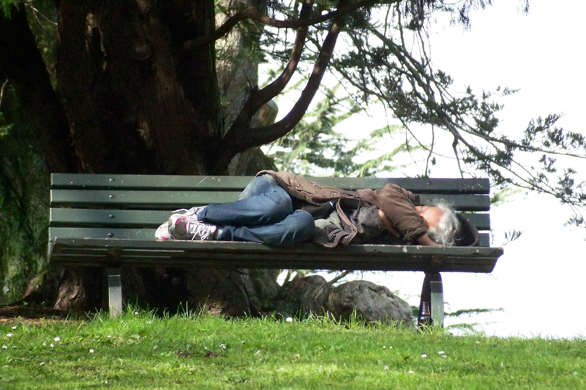 Everything You Need To Know about Poverty in New Zealand