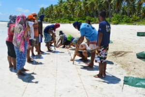 Renewable Energy in Kiribati