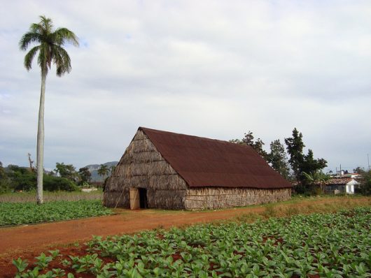 Food Crisis in Cuba