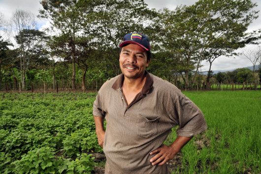 Economic Growth in Nicaragua Has Helped Reduce Poverty