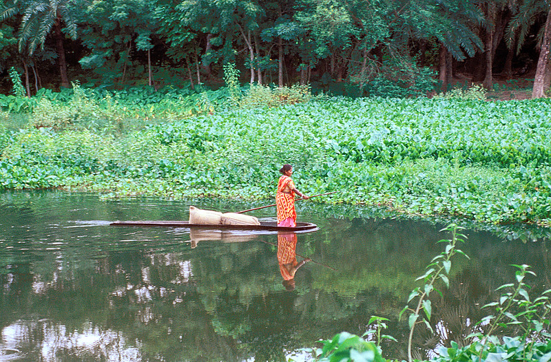 The Impact of Water Pollution in Bangladesh