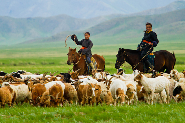 sustainable agriculture in Mongolia