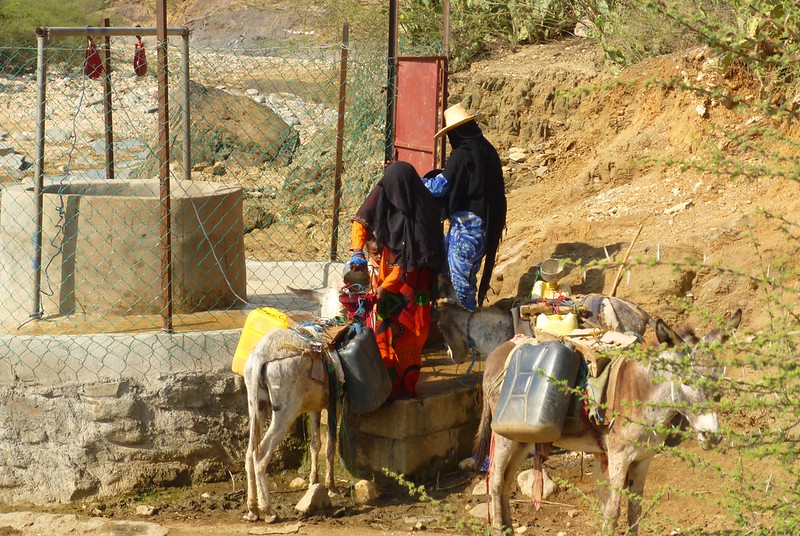 Gender Wage Gap in Yemen
