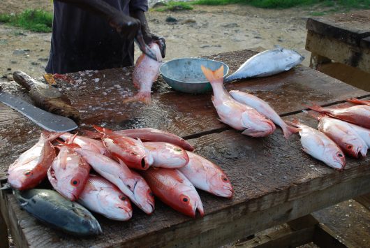 Hunger in Trinidad and Tobago