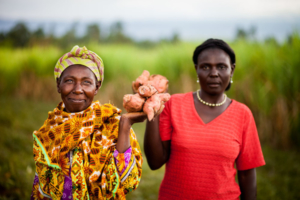 Empowering African Women Farmers