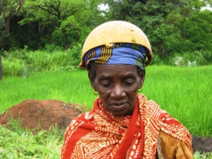 Elderly Poverty in Guinea-Bissau