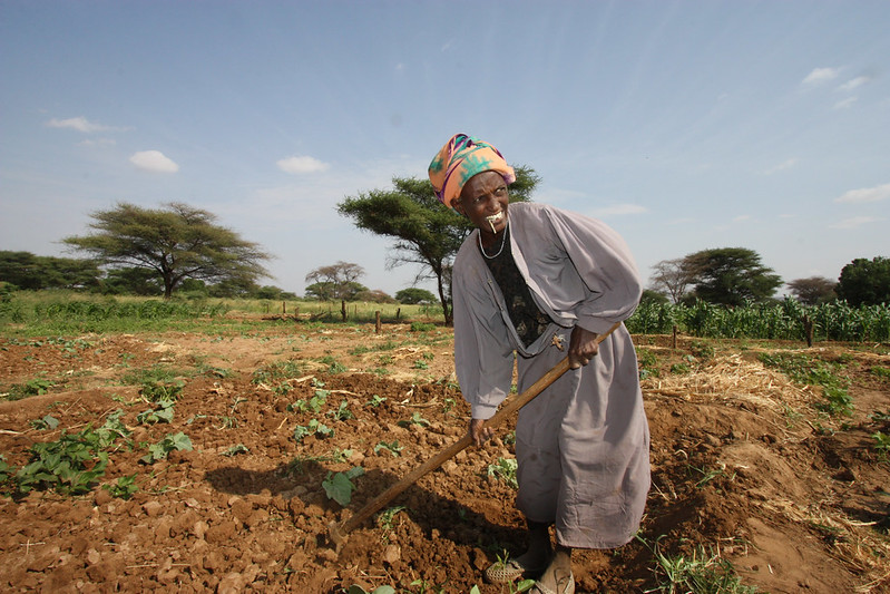 Malnutrition in Kenya