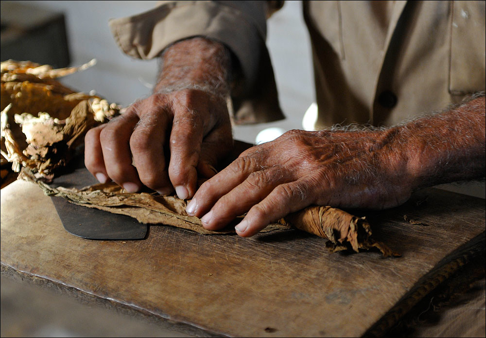 Tobacco Production Impacts Food Security
