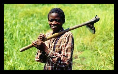 initiatives help rural senegalese farmers
