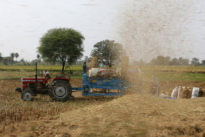 AI Crop Monitoring in India