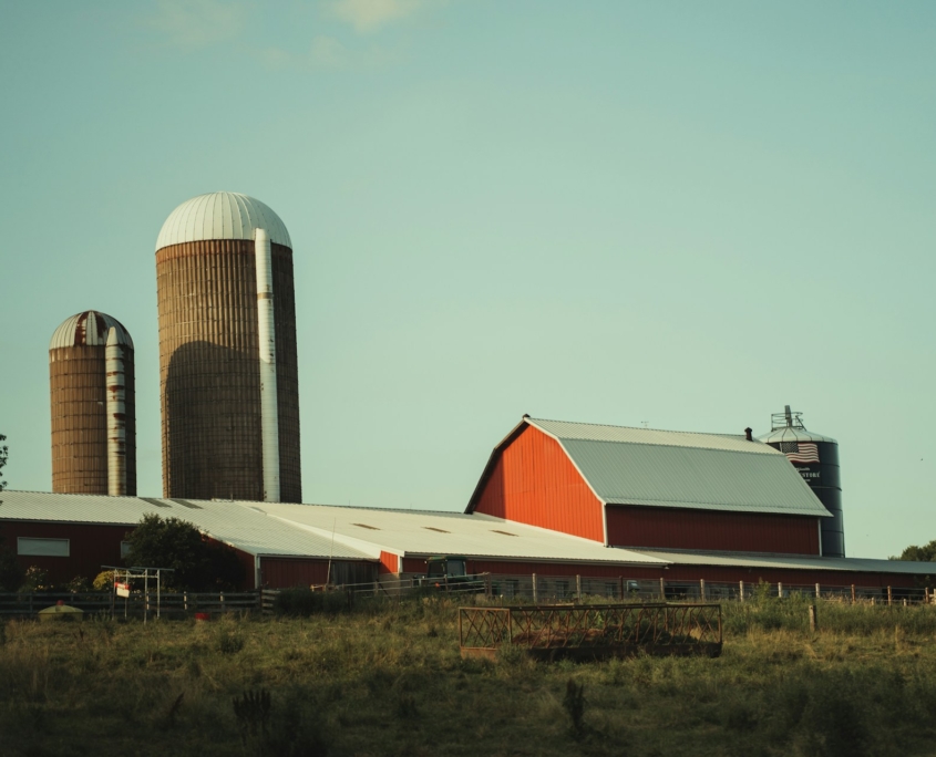 AI Offers Promise for Africa's Smallholder Farms 
