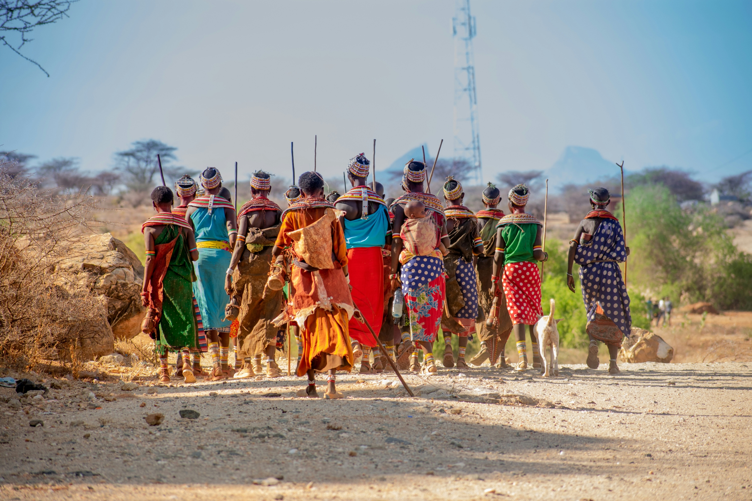 ActionAid