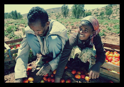African_youth_farmers_decline