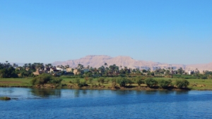 Agricultural Export in Egypt