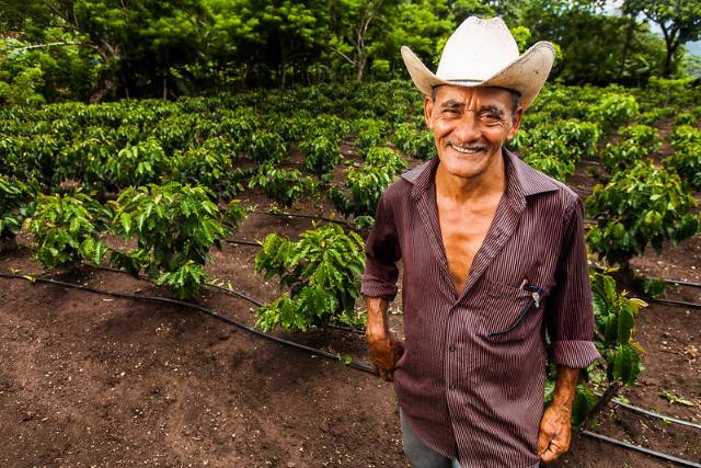 Agricultural Initiatives in Honduras