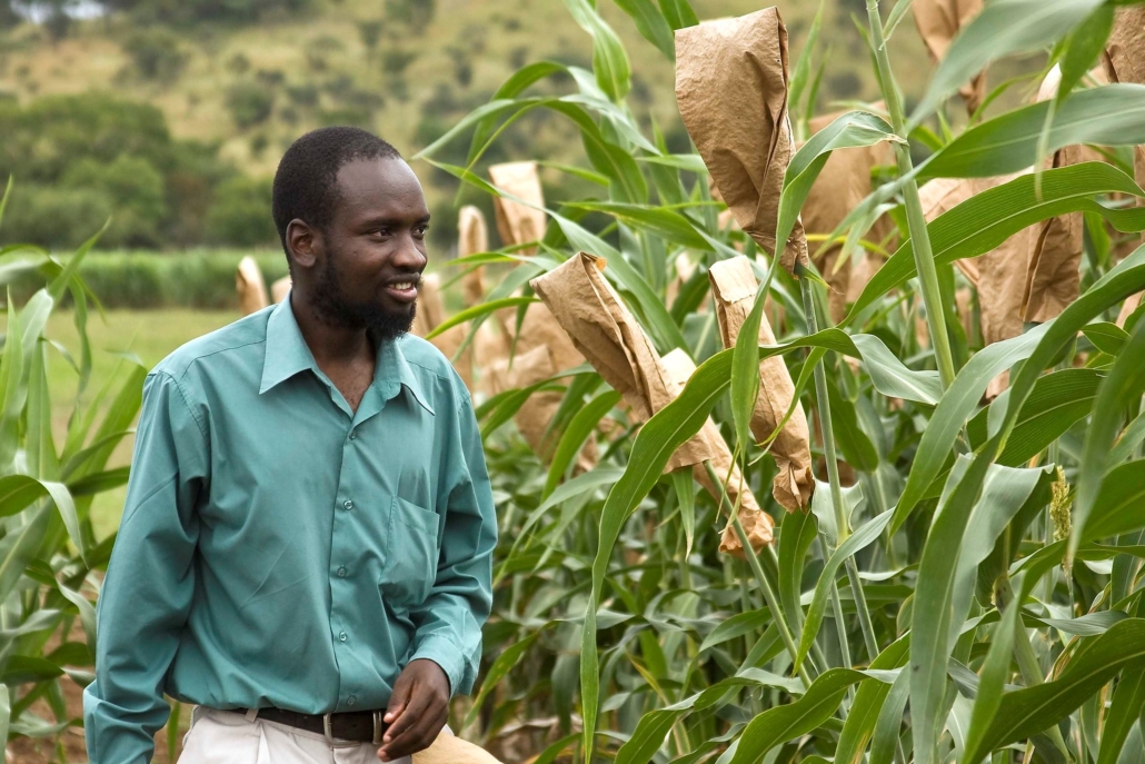Agricultural Success in Zimbabwe