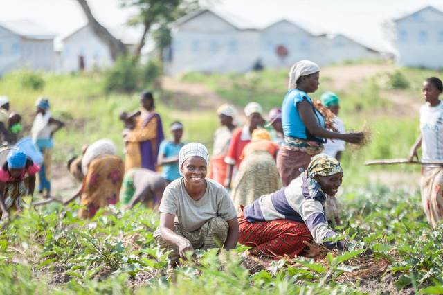 Agricultural Sustainability in the DRC