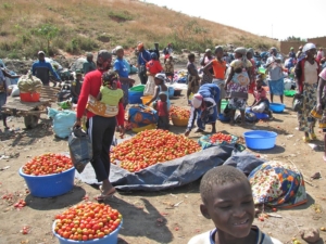 Agriculture in Angola