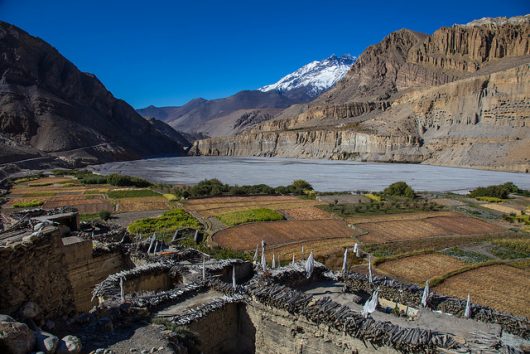 Agriculture in Nepal