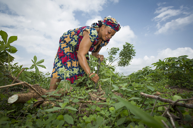 an essay on the importance of agriculture in nigeria