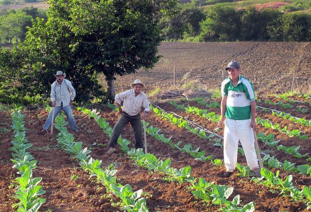 Farm and Land Colombia