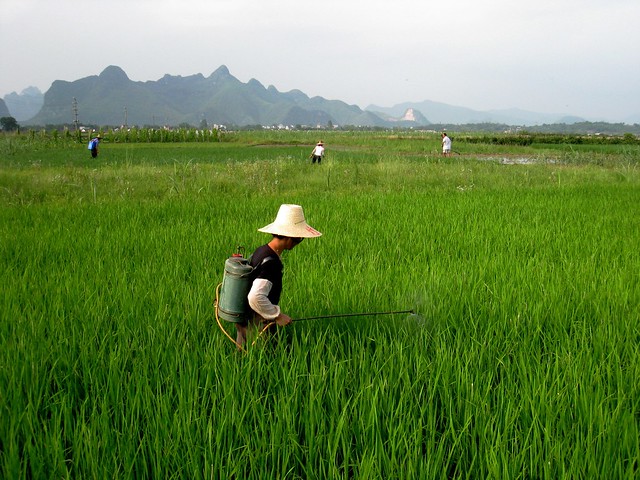 Ecological Approach to Diminish Poverty in China