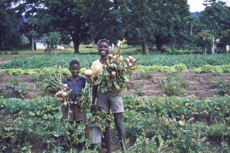 Angola’s Rural Poverty