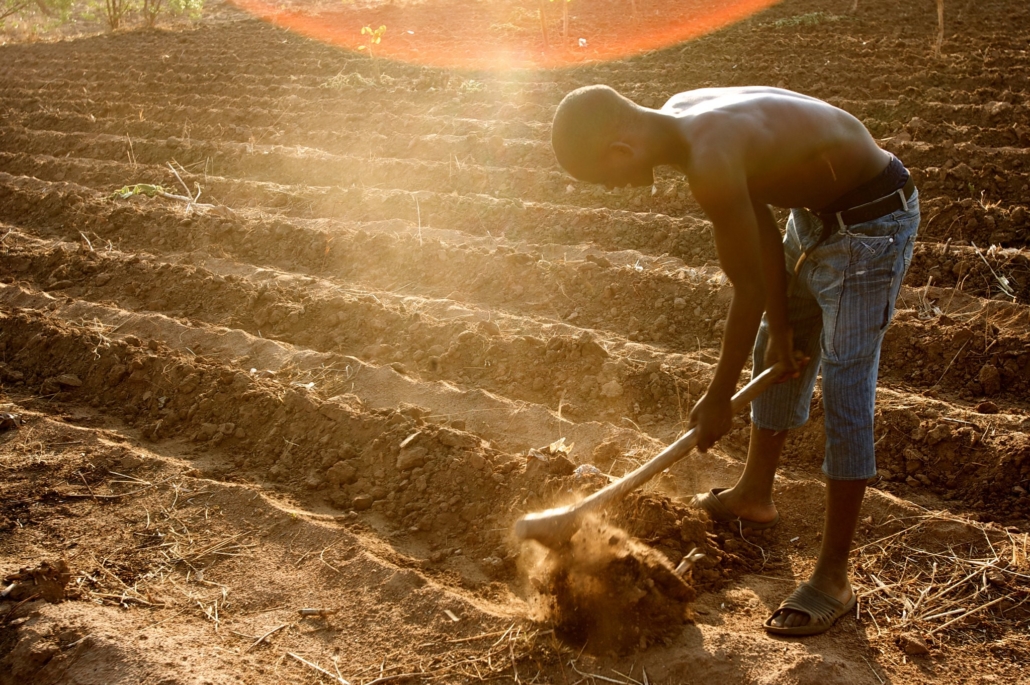 Apps Améliorer l'agriculture en Afrique