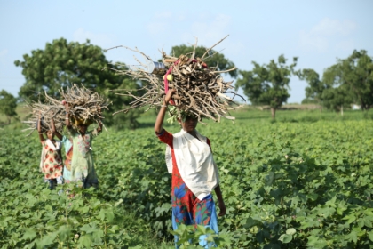 BC Sakhi in India: Women Bringing Banking to Rural Doorsteps - The