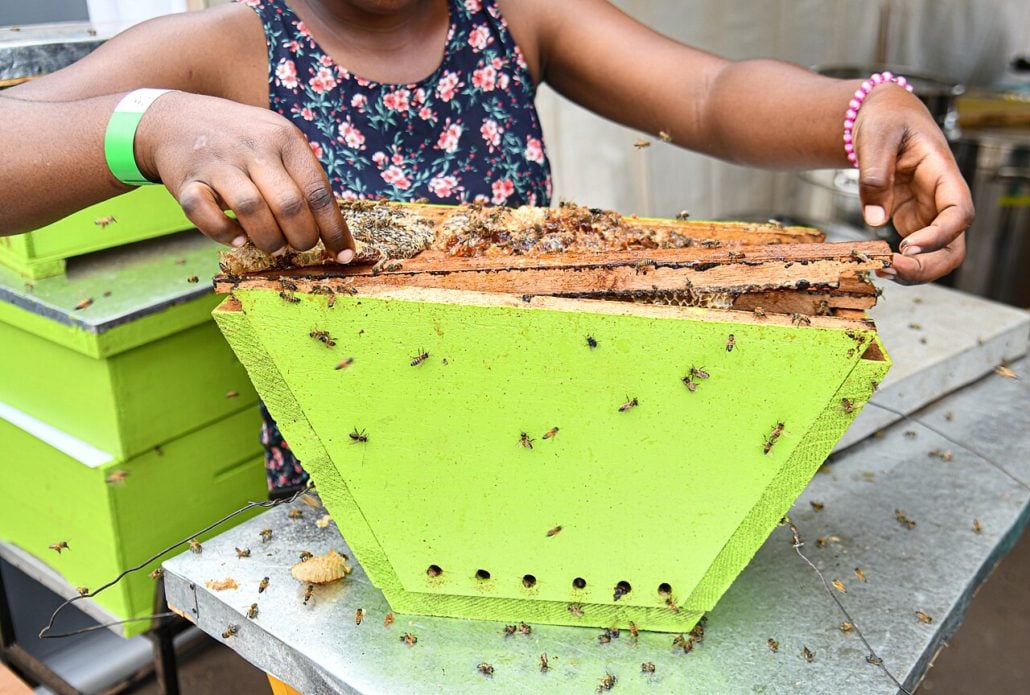 Beekeeping in Uganda