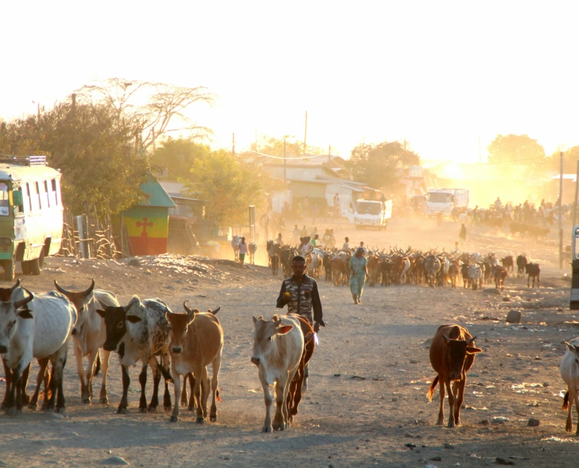 Fight Poverty in Ethiopia