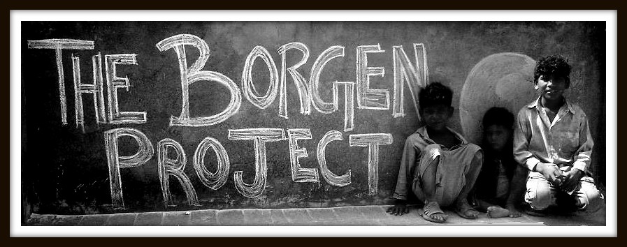 Political Affairs Internship - Job Description - The Borgen Project