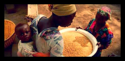 USAID Supports Rice Farmers in Botanga