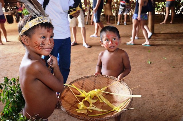 Brazil Indigenous coronavirus