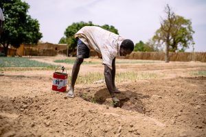 Funding Agriculture And Power In Burkina Faso - The Borgen Project