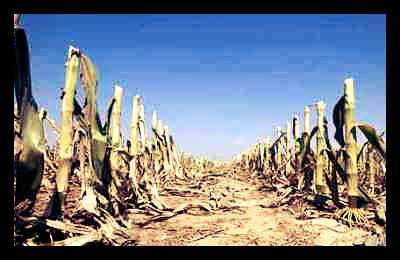 California_Agriculture_Drought