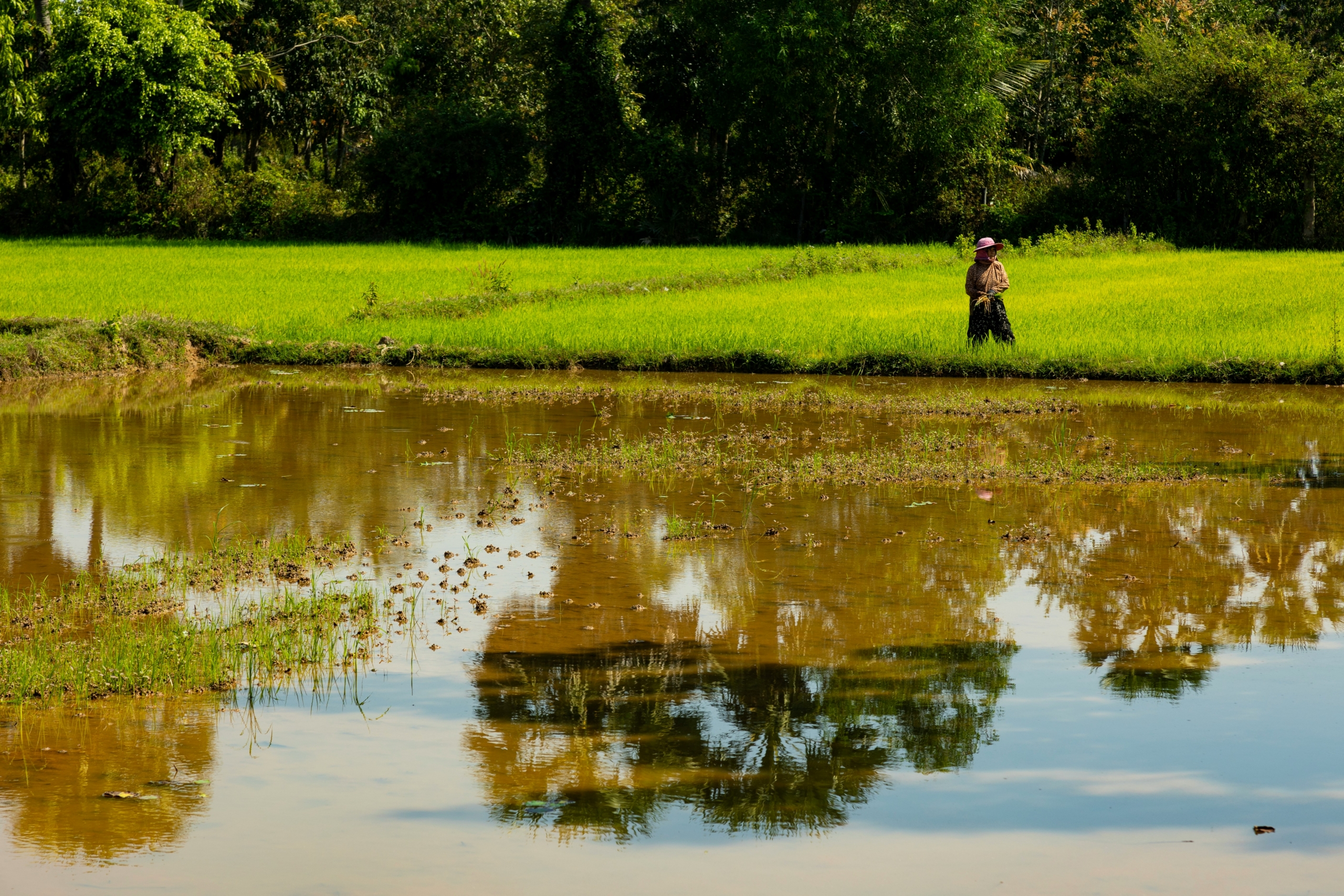Cambodian Farmers