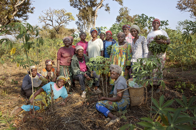 Women's Rights in Cameroon