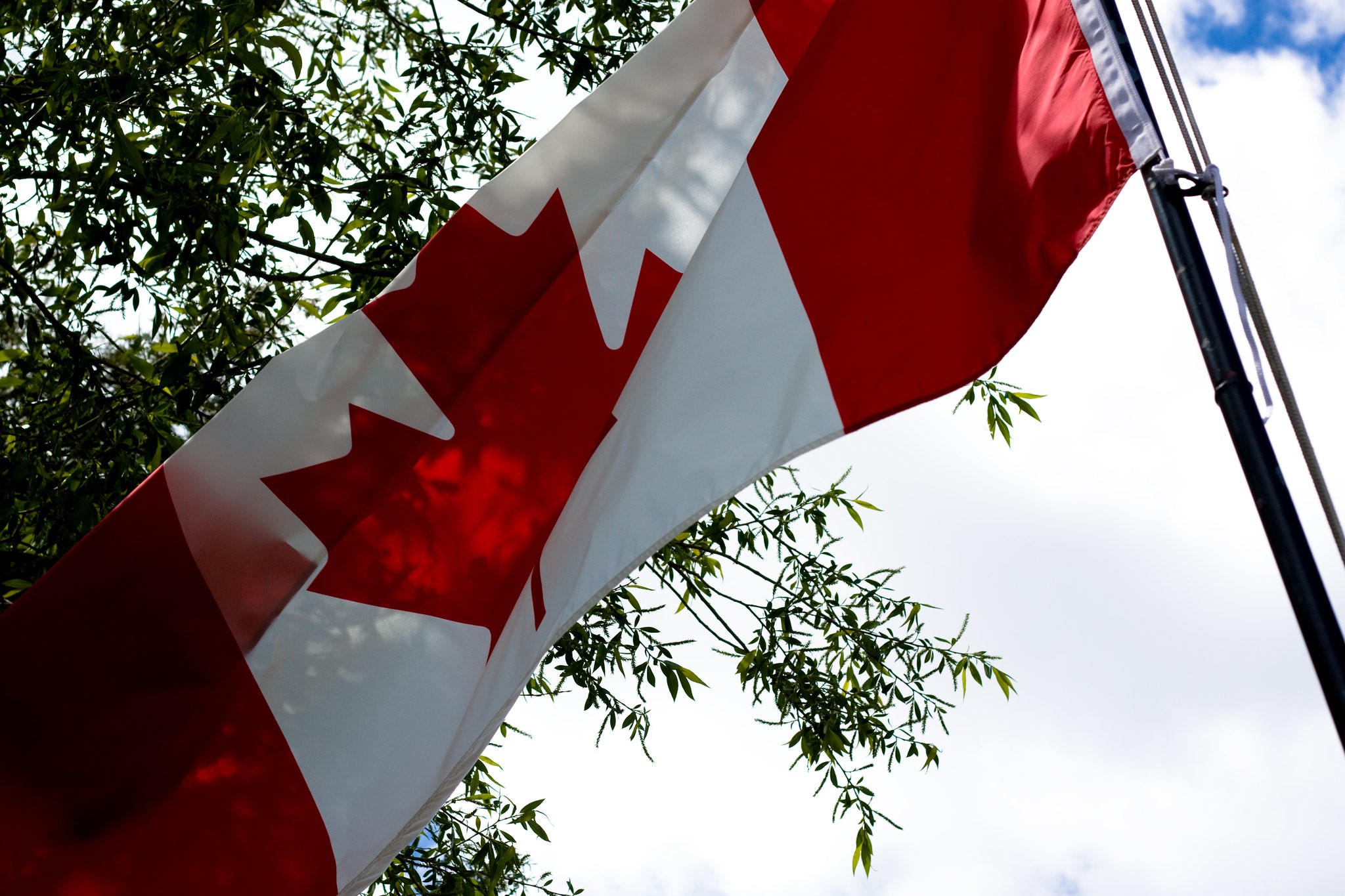 5 Successes of Canada’s Foreign Aid - The Borgen Project