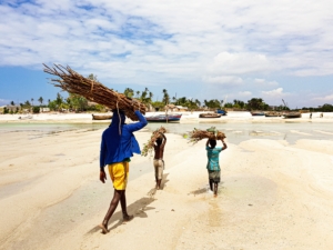 Charities Operating in Mozambique