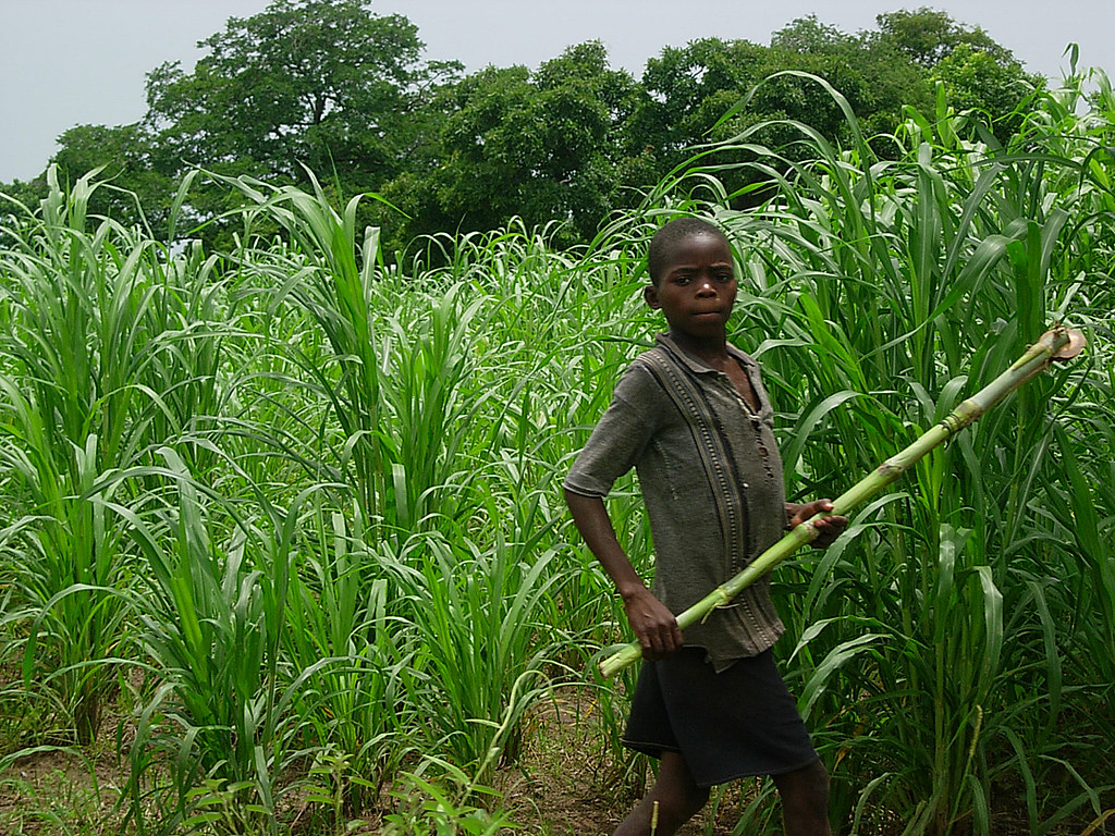 Child Soldiers in Burkina Faso