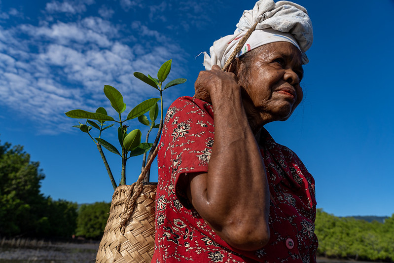 China: The Great Hero for Poverty in Timor-Leste 
