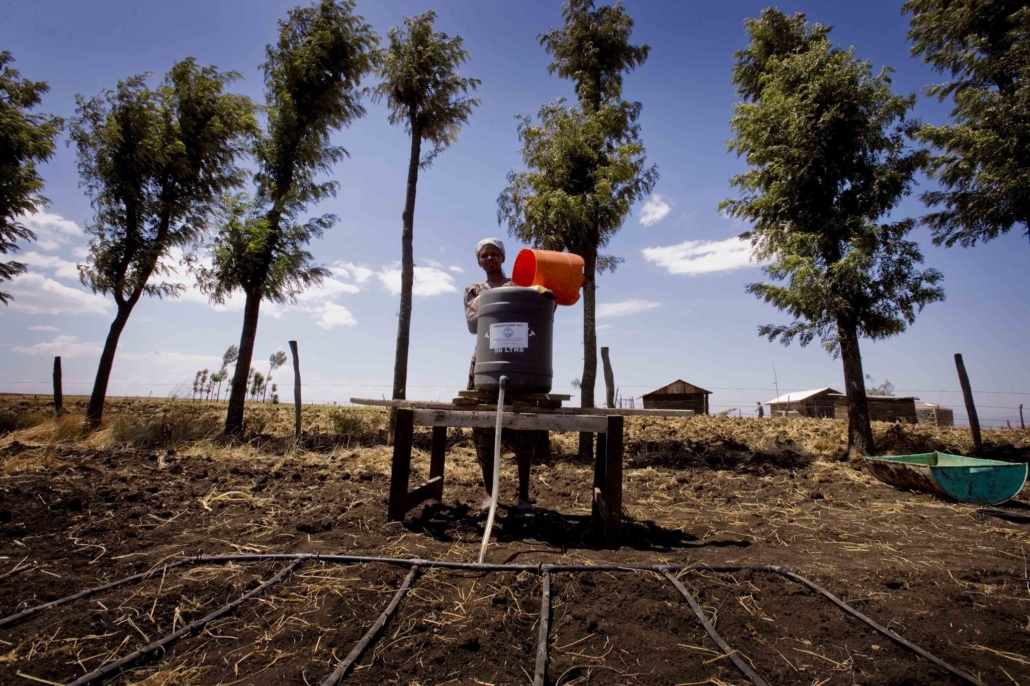 Climate-Smart Agriculture in Kenya