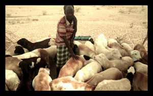 Climate Change in Ethiopia - The Borgen Project