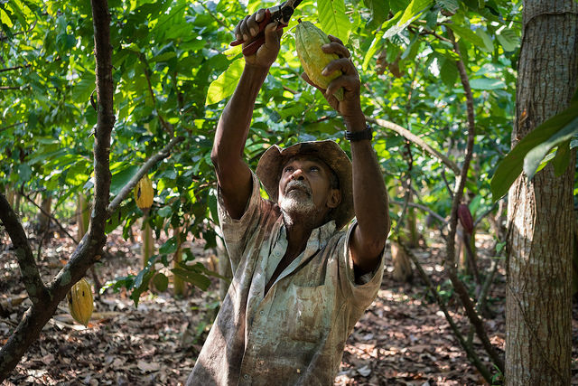 agricultural-partnership-address-climate-change-in-colombia