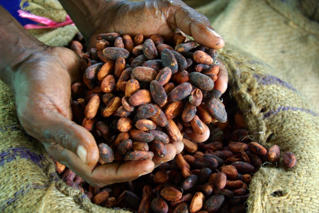 Cocoa Farmers in Africa