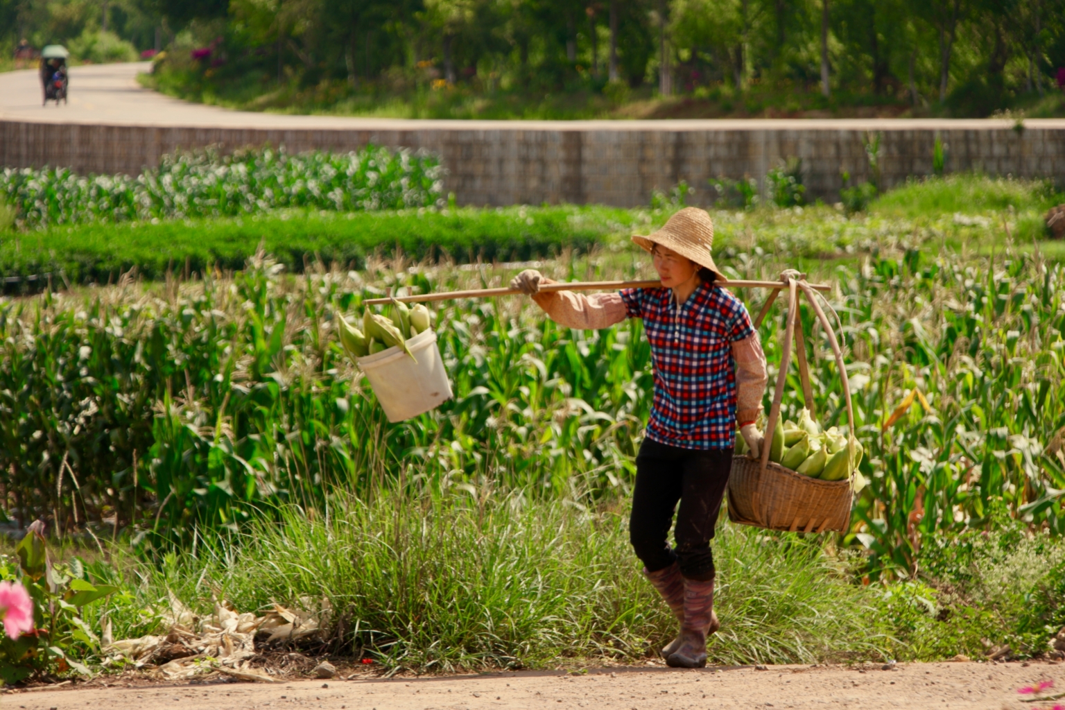 Using the Internet to Combat Rural Poverty in China - The Borgen Project