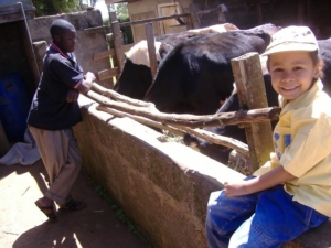 Dairy Farming in Kenya