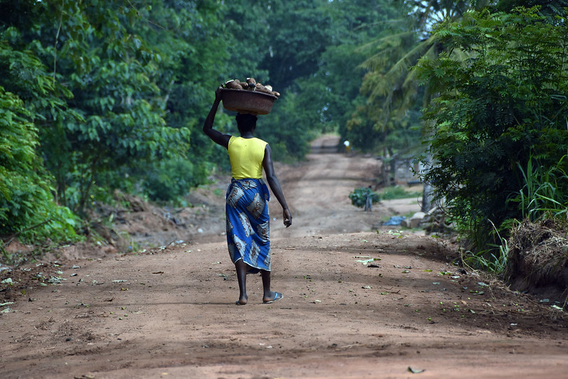 The Impact of Deforestation in Côte d'Ivoire - The Borgen Project