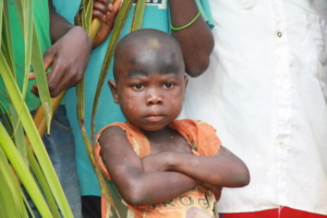 Deforestation in the Congo Basin